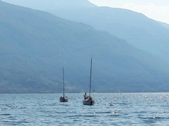 Smart Eventi ha organizzato una giornata di team building barca a vela per Michelin